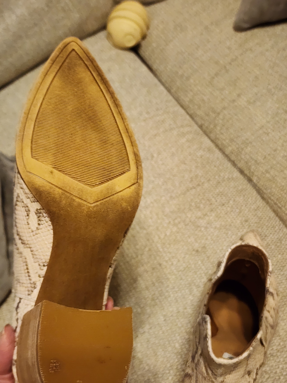 Steve Madden Taupe Snake-Print Cutout Ankle Boots - Picture 5 of 6